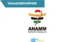 Associação Nacional dos Municípios de Moçambique