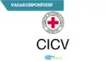 Comité Internacional da Cruz Vermelha
