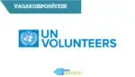 UN Volunteers