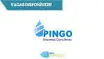 Pingo Empresas Consultores