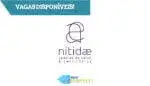 Nitidæ