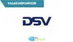 DSV