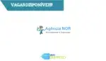 Norb Consultoria e Serviços