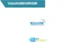 Bolloré Transport & Logistics Mozambique, S.A.