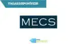 MECS