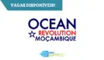 Associação Ambiental Ocean Revolution Moçambique